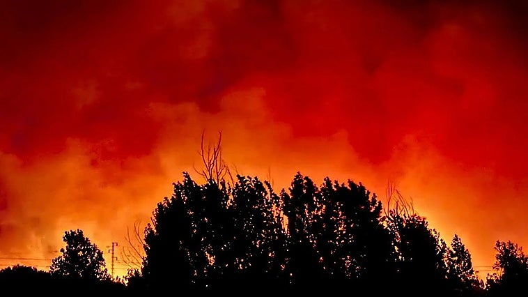 Andalusian forest fire consumes over 3,000 hectares, requiring aerial reinforcement