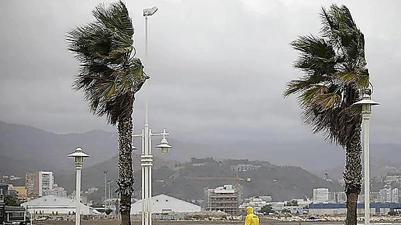 Malaga province under yellow warning for strong winds on Friday