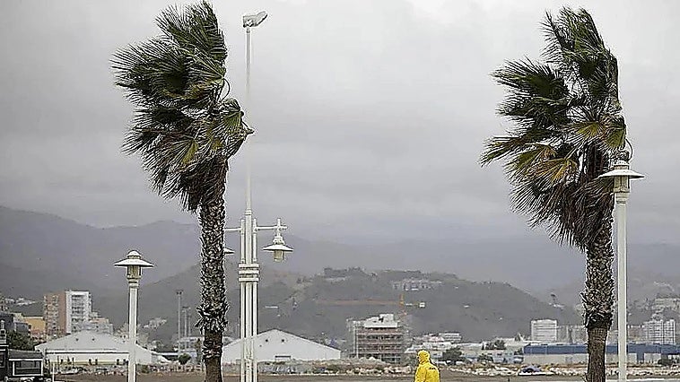Malaga province under yellow warning for strong winds on Friday
