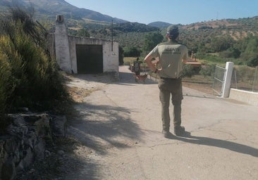 Environmental officers are inspecting various areas of El Burgo with the help of specially trained dogs.