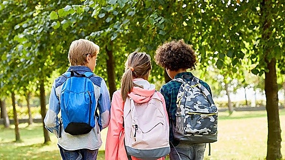 Spanish teacher sentenced for pulling down student's pants as punishment
