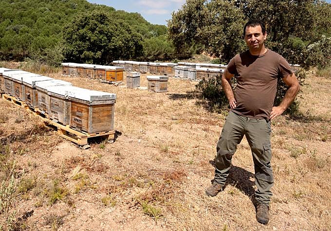 Agustín Romero, beekeeper.