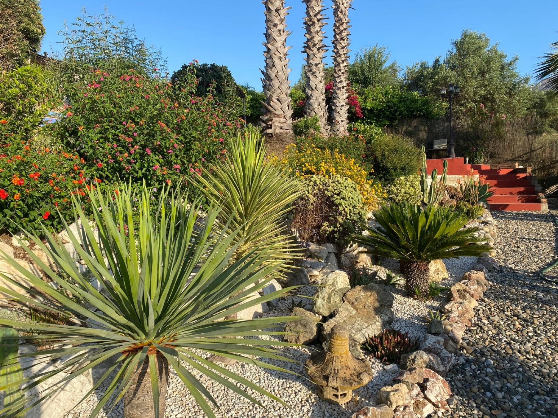 The Guadalhorce Garden Group: a Mediterranean gardener's delight
