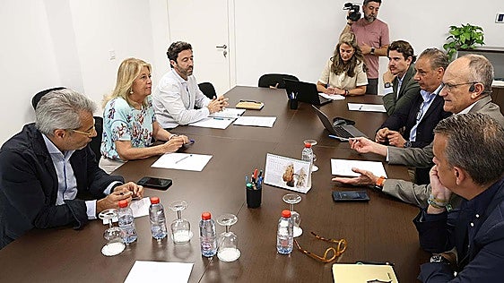 Marbella to help revamp hotels with specific planning rules