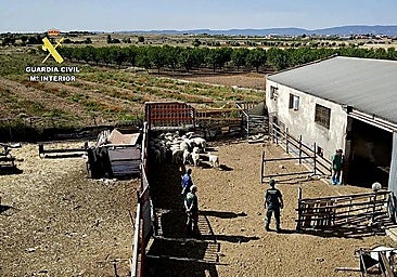 Officers at the livestock farm in Mazarambroz.