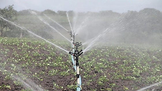 Malaga to reuse all resources from wastewater treatment plant to combat drought