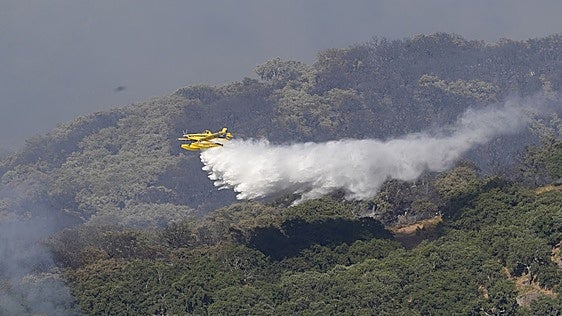 Uncontrollable fire: what is driving Spain’s wildfire disasters?