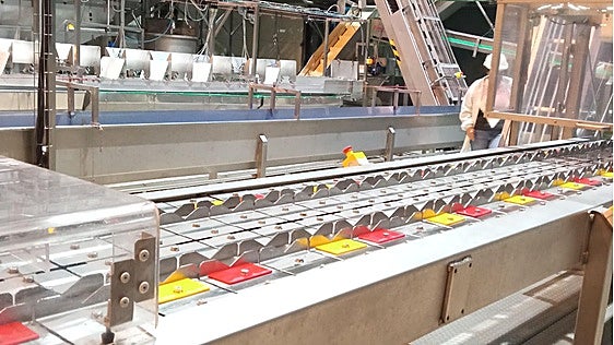 Andalucía's regional government funds 300 projects to improve industrial energy efficiency