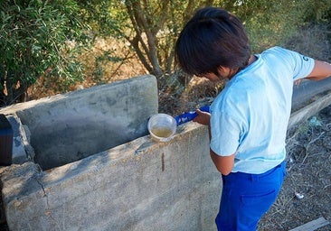 Andalucía raises number of West Nile virus human cases to 52