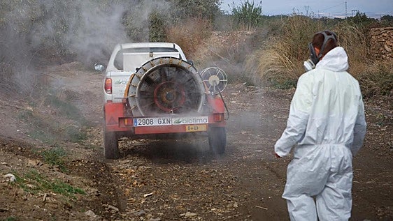 Andalucía records second West Nile virus fatality following death of 89-year-old Seville province resident