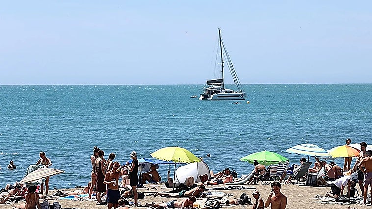 Will there be jellyfish and sea scum on Malaga province's beaches this summer?
