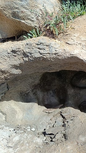 Imagen secundaria 2 - Mud deposits in Caños de Meca.
