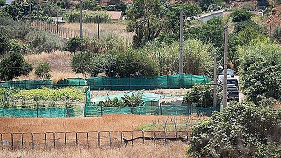 Woman found dead in well near Rincón de la Victoria