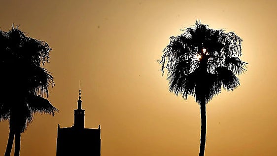 Malaga activates weather warnings as dreaded terral wind returns with high temperatures