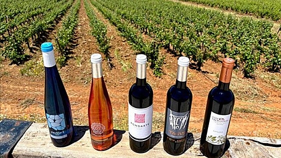 Bodegas Excelencia: the ideal space for wine tourism and production