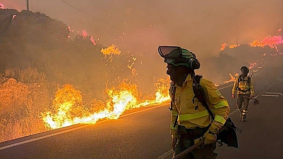 Eleven dead in wildfire in Almeria: “It is an unprecedented tragedy”
