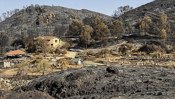 Search operations in Los Gallardos suspended after no further victims found in the areas affected by fire