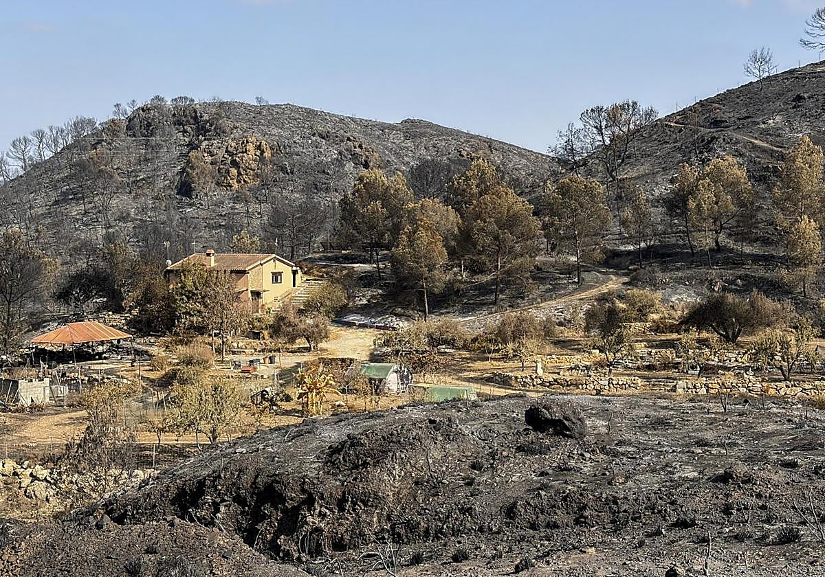 Search operations in Los Gallardos suspended after no further victims found in the areas affected by fire
