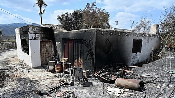 Madrid tests so far show three Almeria wildfire victims were British