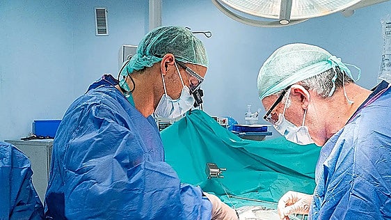Malaga oncologists test ground-breaking drug that sheds light on pancreatic cancer