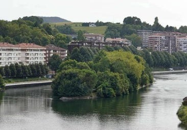 A view of the island in the Bidasoa River.