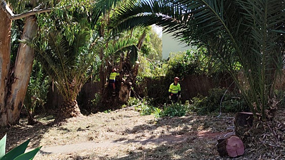 Benalmádena completes wildfire prevention measures ahead of high-risk season
