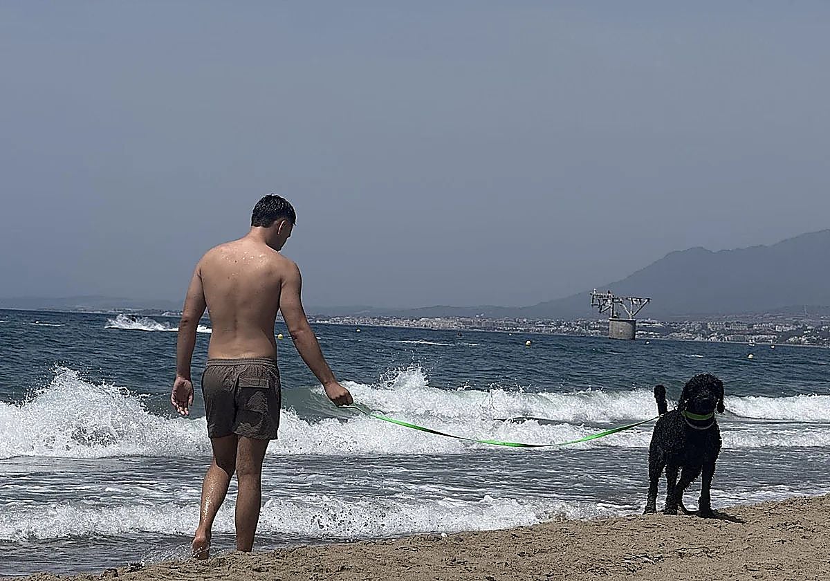 Marbella steps up patrols to enforce rules at dog-friendly beaches