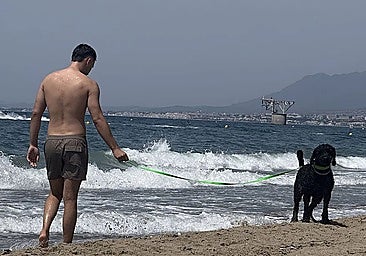 A beachgoer walks along the beach in Marbella with his dog.