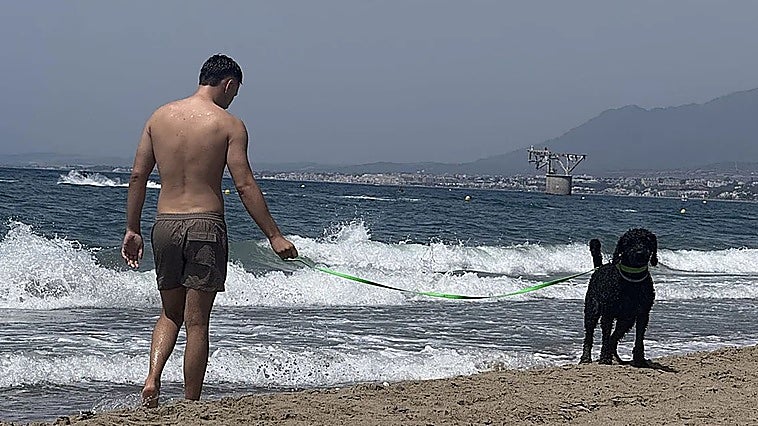 Marbella steps up patrols to enforce rules at dog-friendly beaches