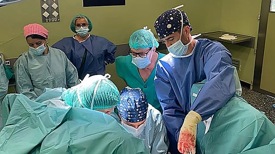 Malaga's Hospital Regional incorporates technique to correct uterine prolapse without removal