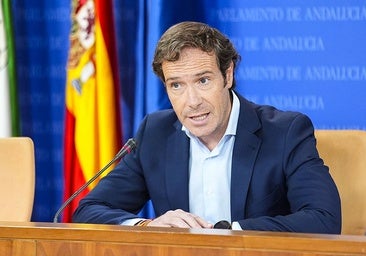 Javier Cortés, Vox’s new parliamentary spokesperson.