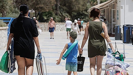 Malaga under amber warning for temperatures exceeding 42C on Thursday and Friday due to the terral wind