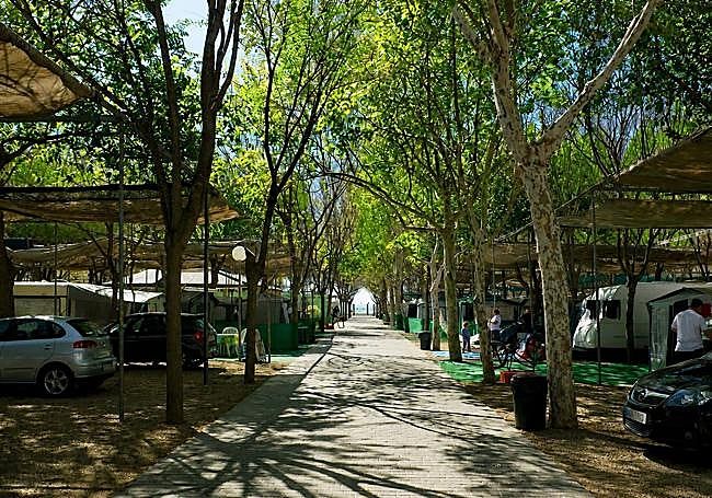 Shady spots for caravans and tents near the beach in Almayate.