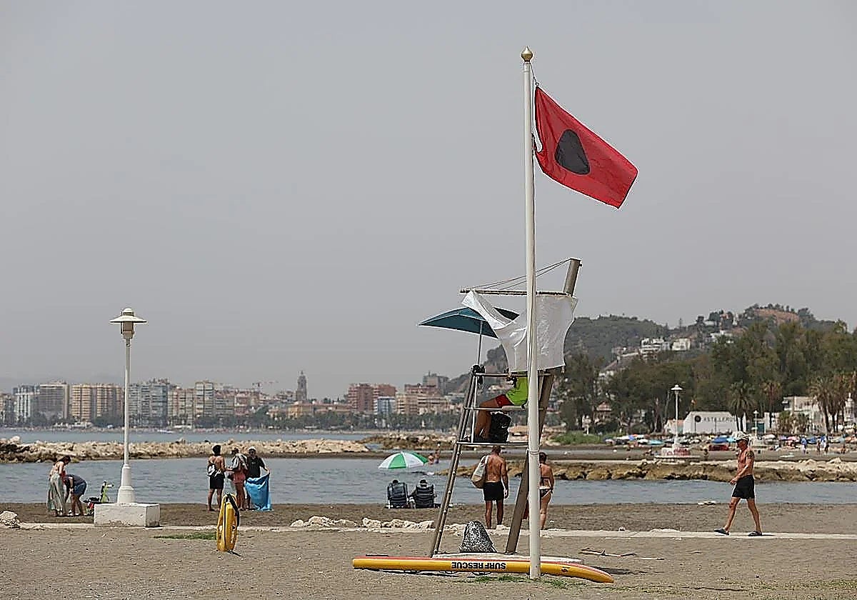 Bathing banned on two Marbella beaches due to faecal bacteria