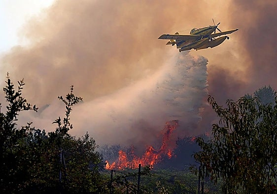 A plane dropping water on the flames near San Martín de Valdeiglesias in Spain.