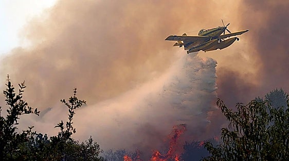 Major Ávila fire in Spain burns 50,000 hectares, making it the most devastating in national memory
