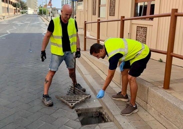 Gibraltar's Fight the Bite campaign: protecting against mosquito bites
