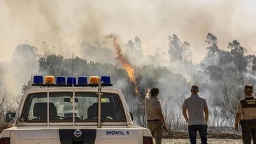 Assessment of the spread of the fire in Niebla