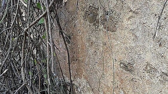 Al-Andalus spring discovered in Malaga province's Axarquía
