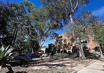 The cordoned off area in Malaga's Bailén-Miraflores district, where a large eucalyptus branch fell on Saturday.