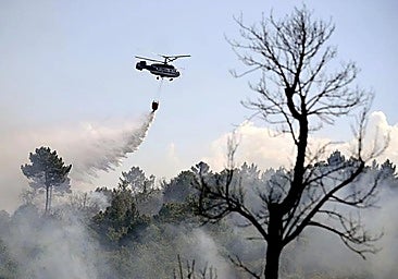 Deliberate forest fires rise to one in three cases investigated in Spain