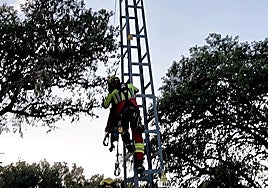 Firefighters rescue the girl from the electricity pylon.