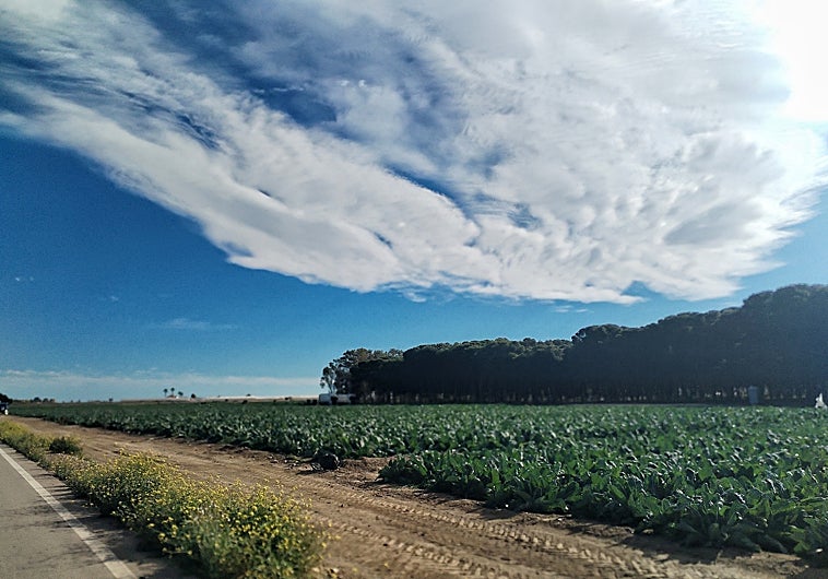 Imagen principal - Nearby Palomares landscapes and beaches.