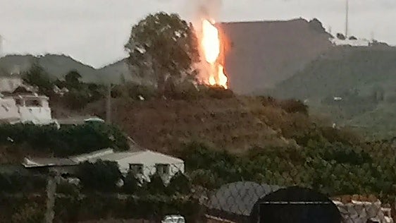 Storm Adam in Malaga province: lightning strike sets palm tree on fire near rural homes in Vélez-Málaga