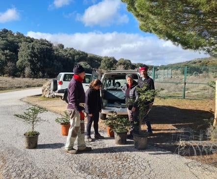 Imagen secundaria 1 - Gómez Zotano is one of the three authors of the University of Granada project. Below, the planting of specimens took place between November 2022 and February 2023