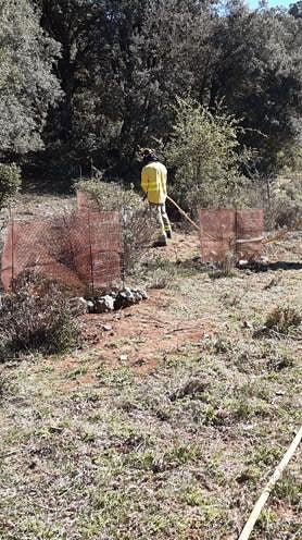 Imagen secundaria 2 - Gómez Zotano is one of the three authors of the University of Granada project. Below, the planting of specimens took place between November 2022 and February 2023