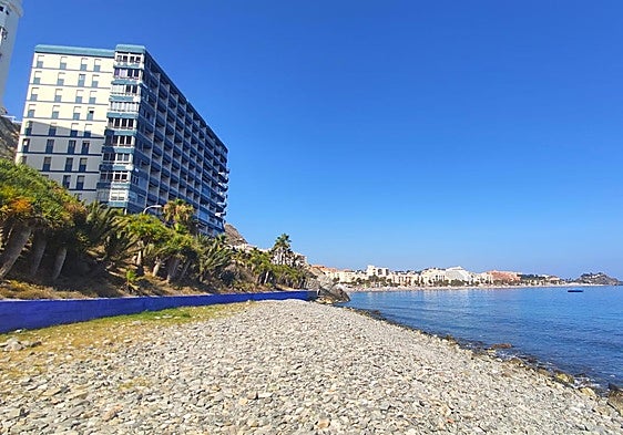 Almuñécar looks to improve or relocate its dog beach
