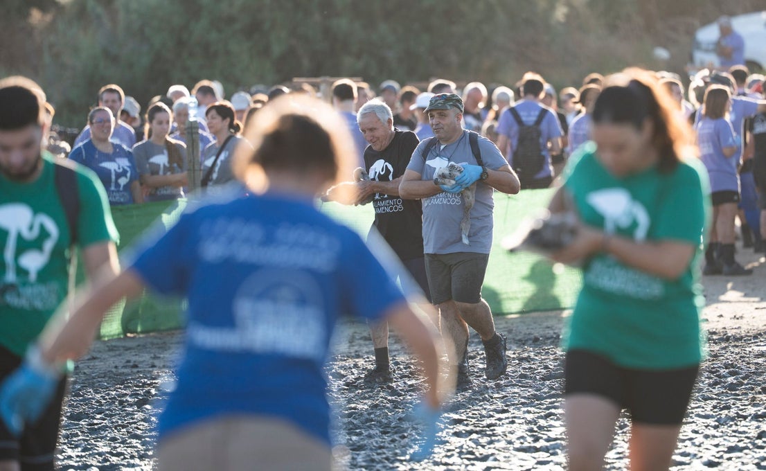 Fuente de Piedra community joins effort to ring 600 flamingo chicks