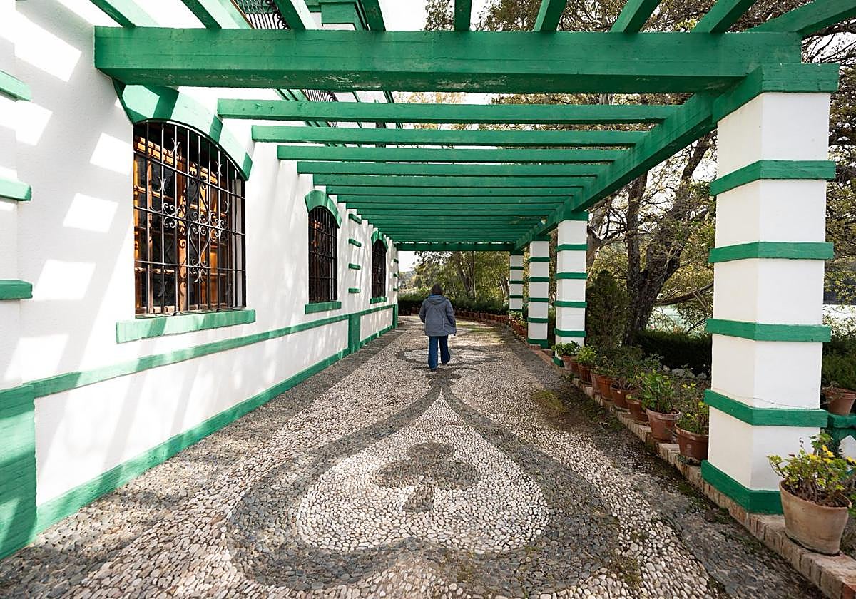 Imagen de Galeria 