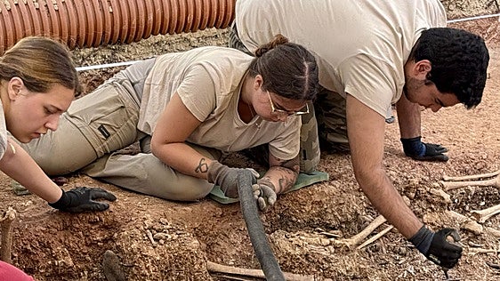 The second Civil War mass grave in Campillos has revealed 22 victims: six have already been exhumed